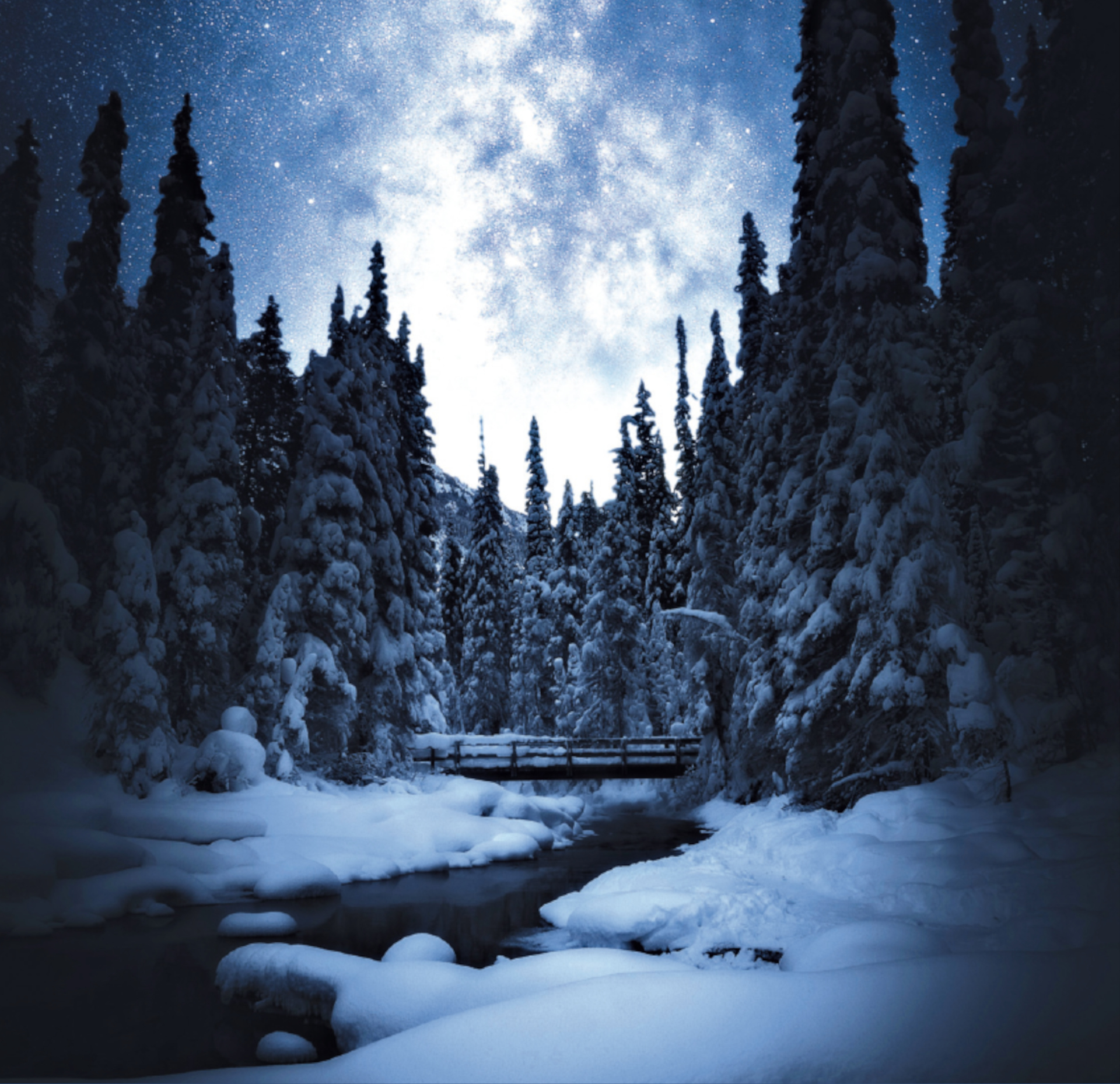 Lumine mets õhtul